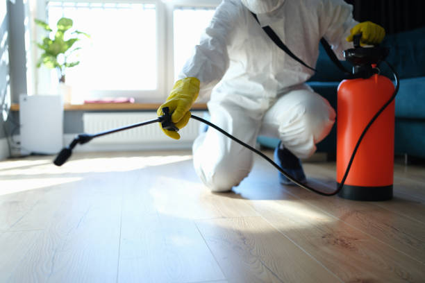 Best Mosquito Control Services  in Wilderness Rim, WA