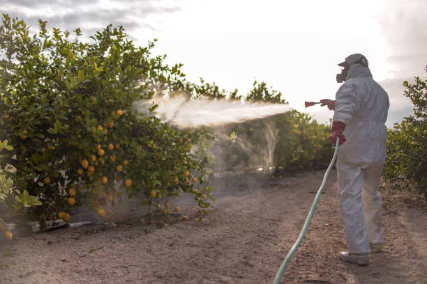 Best Insect Control  in Wilderness Rim, WA