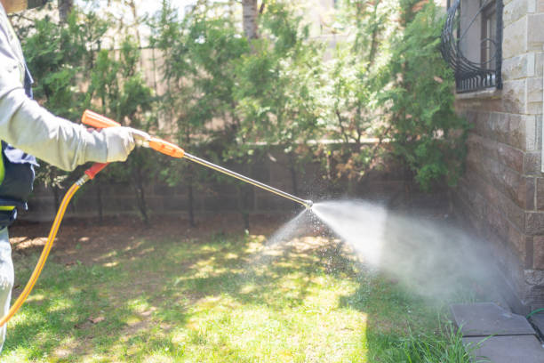 Best Best Pest Control Companies  in Wilderness Rim, WA